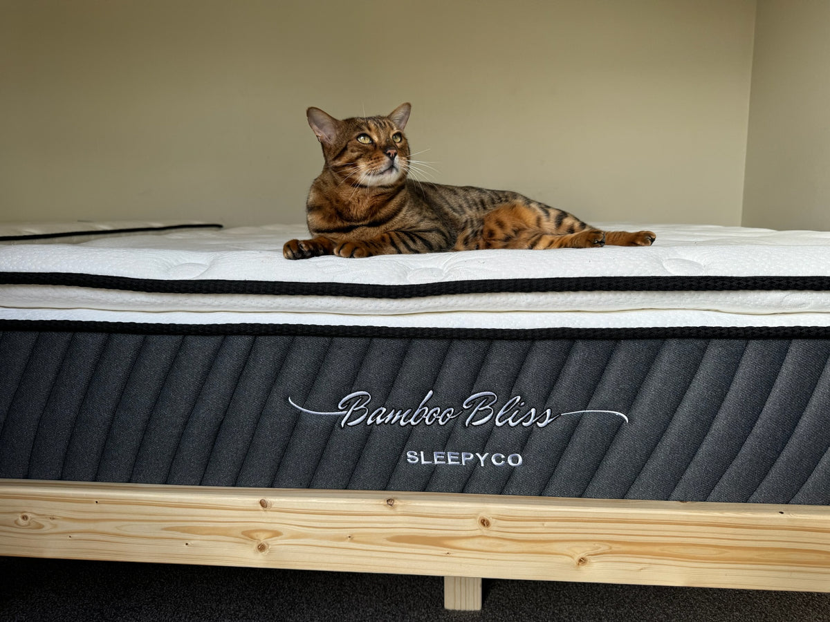 Cheap Beds Auckland Double Bed Medium Plush 🛏️ SleepyCo