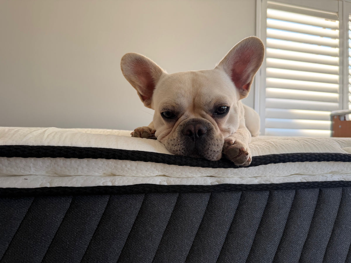 luxury soft mattress