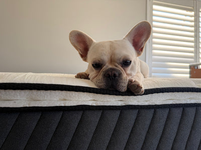 luxury soft mattress